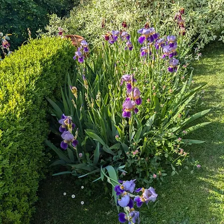 Holiday home Elegant Lakeview Retreat With Garden Just 5 Minutes From Varenna