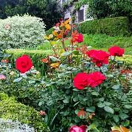 Elegant Lakeview Retreat With Garden Just 5 Minutes From Varenna